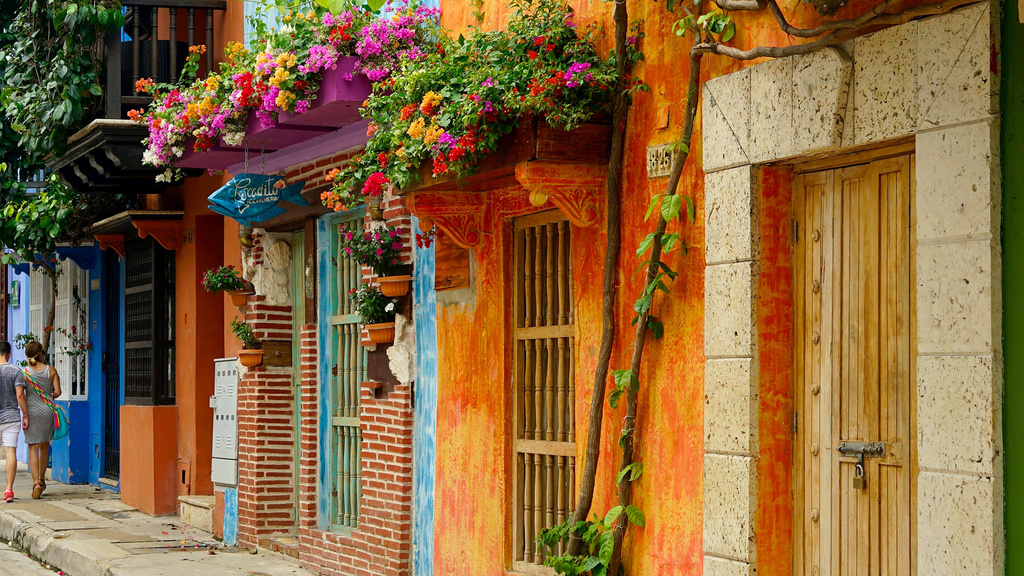 Multicolored houses along a street in South America